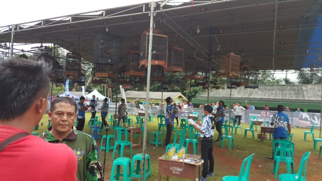 
 Peringati HUT TNI, Kodim 0412 Gelar Lomba Burung Berkicau