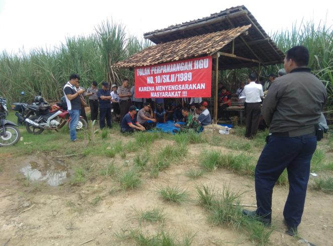 
 Masyarakat Negara Batin Duduki Lahan PTPN 7