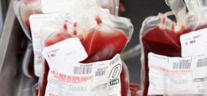 
 Ramadhan, Stok Darah PMI Masih Aman