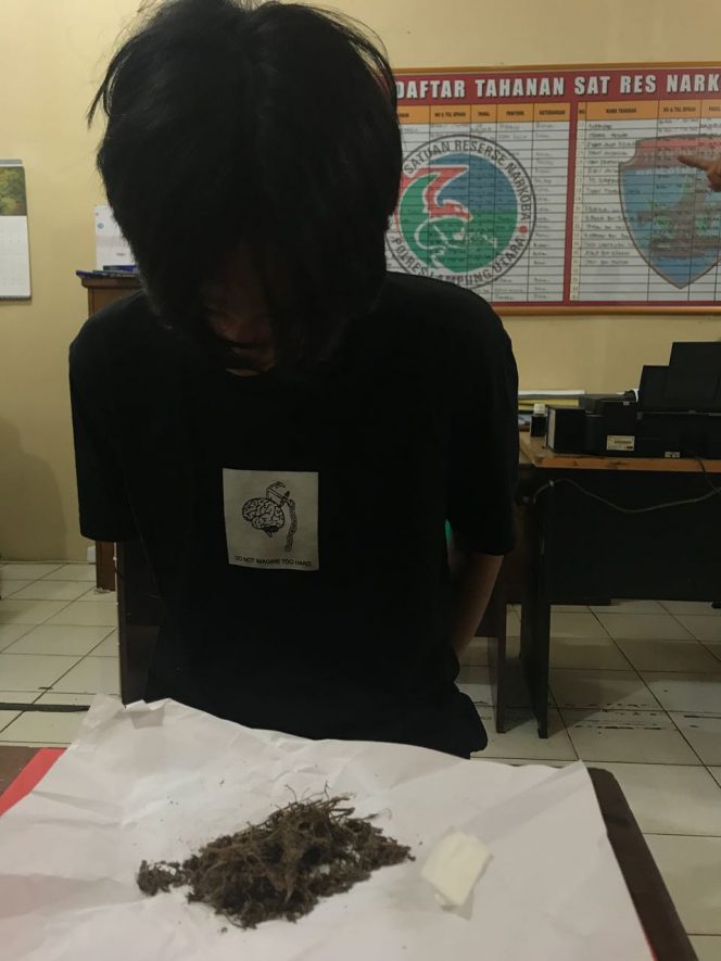 
 Bawa Ganja, Mahasiswa Diringkus Polisi