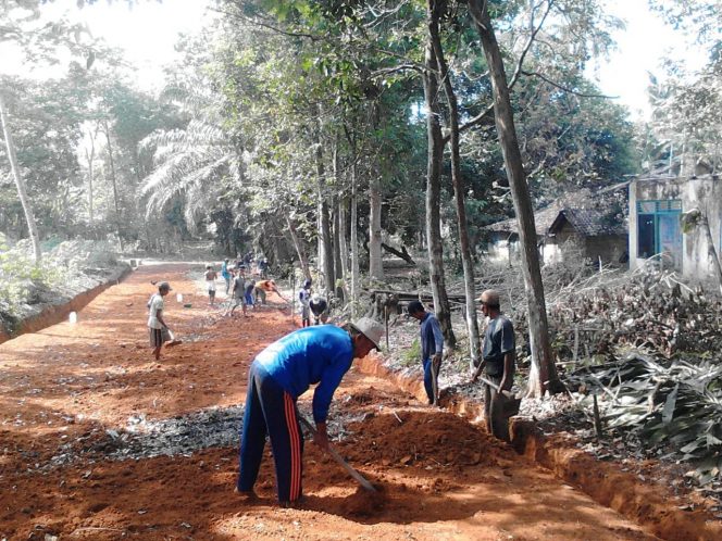 
 Foto Riduan 
Caption : Tampak warga Desa Margorejo Kecamatan Kotabumi Utara, melakukan pembangunan badan jalan lingkungan desa setempat. Foto dibidik Selasa (14/8) .
