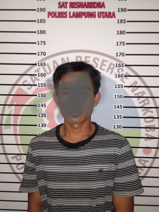 
 Foto : Sat-Res Narkoba Polres Lampura  Caption Foto : DD tersangka pengedar narkoba saat berada di Mapolres Lampura, foto dibidik Kamis (9/8).
