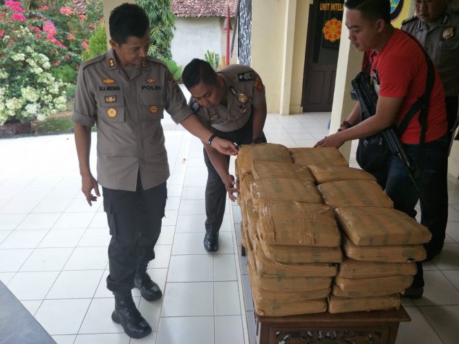 
 Foto : Sat-res Narkoba Polres Lampura  Caption : Kapolres Lampura AKBP Eka Mulyana saat menyaksikan barang bukti Narkoba yang berhasil disita anggota Polsek Abung Barat, Selasa(18/9).
