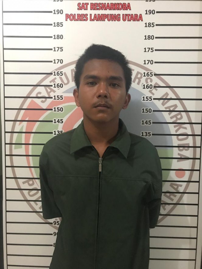 
 Foto : Satres Narkoba Polres Lampura
Caption: Tersangka AF bersama Barang Bukti Narkoba saat diamankan di Mapolres Lampura, Selasa (13/11).
