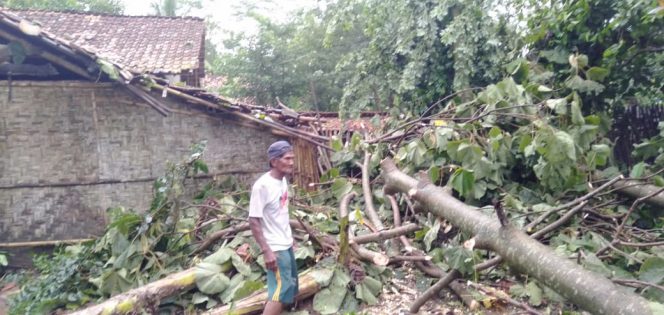 
 Foto CW9
Caption : Tampak pohon tumbang, menimpa rumah warga Desa Sidorahayu, Kecamatan Abung Semuli, Sabtu(23/3).