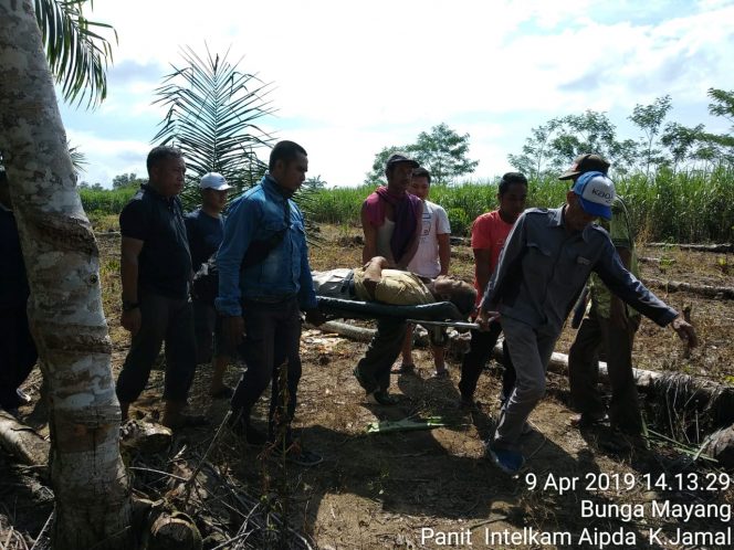 
 Foto : Polsek Sungkai Selatan
Caption :  Sejumlah warga membantu pihak kepolisian dan Tim Medis Puskesmas Bungamayang untuk mengevakuasi jasad Kuryanto, Selasa(9/4).