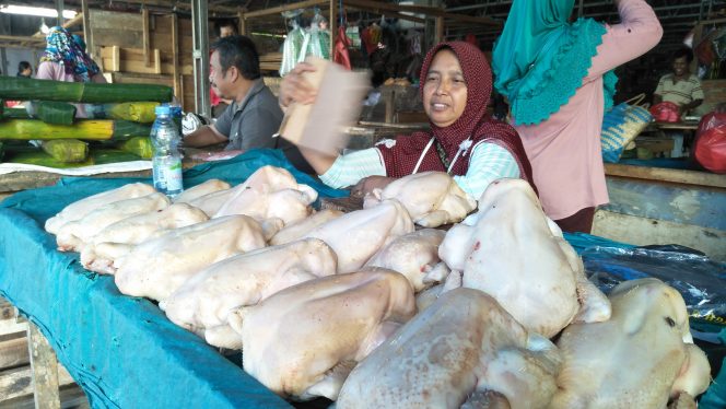 
 Foto : cw9
Caption pasar 1: Suasana di kios salah satu pedagang ayam yang tampak sepi pembeli di area Pasar Sentral Kotabumi, kemarin (29/4).
Caption pasar 2 : Kepala Dinas Perdagangan Lampura Wanhendri, saat dikonfirmasi awak media terkait naiknya sejumlah bahan pokok di Halaman kantor Pemda setempat  Senin (29/4). 