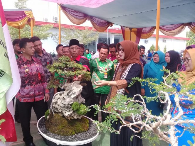 
 Buka Pameran Bonsai, Ini Harapan Bunda PAUD Lampura