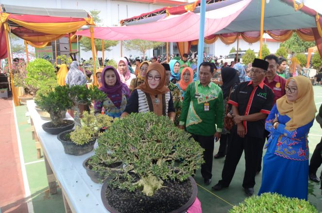 
 Ketua TP-PKK Kabupaten Lampung Utara, Hj.Endah Kartika Prajawati Agung,S.STP, M.H meninjau Pameran dan Bazar Bonsai yang digelar  Komunitas Pemuda dan Pecinta Bonsai Candimas (KPPBC)