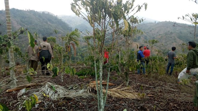 
 Foto IST 
Caption : Puluhan hektar hutan dan lahan yang terletak di Gunung Abung, Register 34 Tangkit Tebak, Desa Dwikora, Kecamatan Bukitkemuning, terbakar. Foto dibidik, Minggu (6/10).  