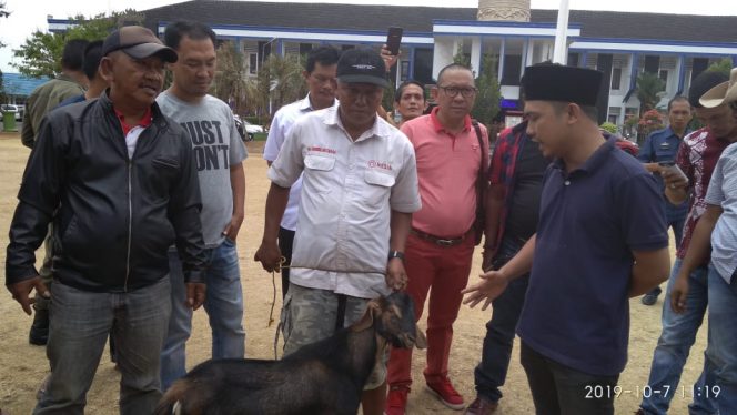 
 CAPTION FOTO : warga melakukan pemotongan kambing di halaman pemkab Lampura sebagai rasa syukur atas kinerja KPK yang mampu mengungkap kasus korupsi di Lampura FOTO : ferdani  
