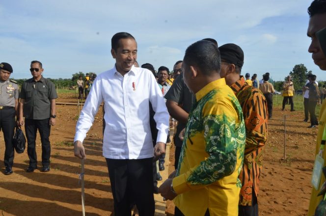 
 Tanam Pohon, Jokowi Sapa Bang Yadi