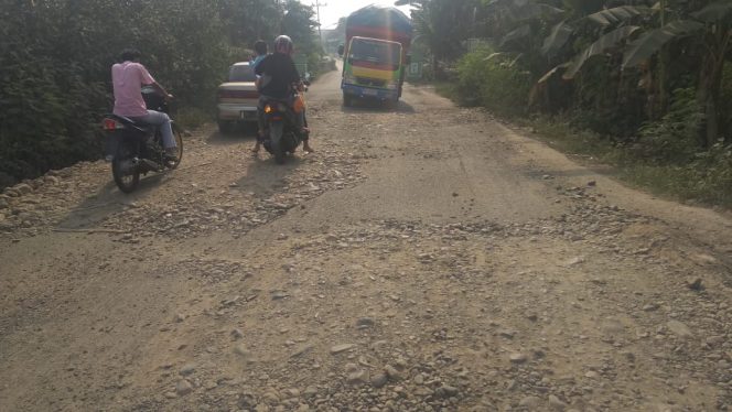 
 Sejumlah Ruas Jalan di Lampura Rusak Parah