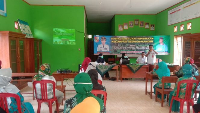 
 Memanfaatkan Halaman Rumah Untuk Tanaman Keluarga