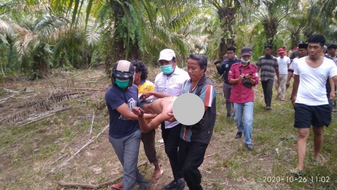 
 Proses evakuasi Taufik oleh jajaran Polres Lampura yang dibantu warga ke RSD Ryacudu Kotabumi