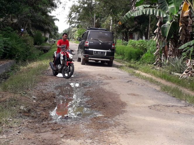 
 caption foto : Kondisi jalan di desa Mulyorejo yang banyak mengalami kerusakan.