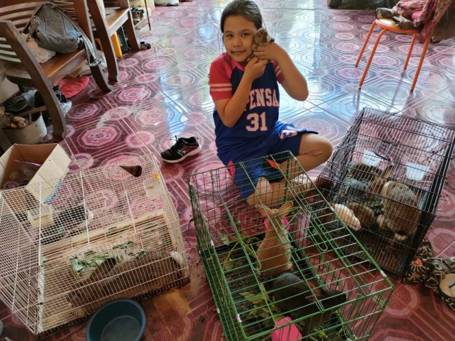 
 Belajar Dirumah Selama Pandemi, Siswi SD Ini Berternak Kelinci