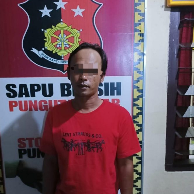 
 Raba ‘Sawah’ Tetangga, NS Dibekuk Polisi