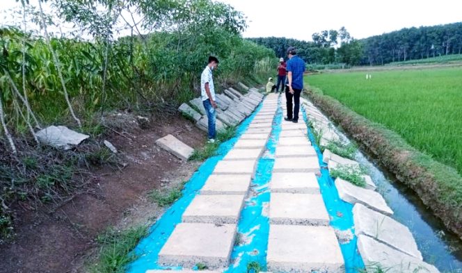 
 Desa Bumi Raharja Dapat Bantuan Irigasi Sepanjang 780 Meter