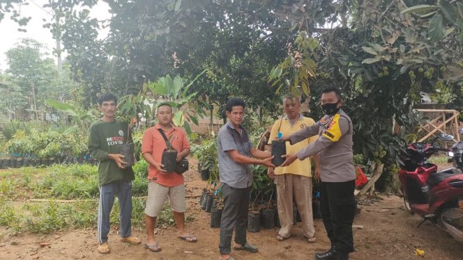 
 Pasca Pilkades Sarkasi Langsung Usung Bantuan