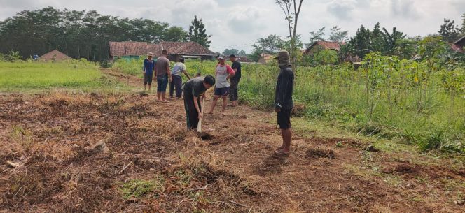 
 caption : warga lingkungan Kavling Tanjung Alam Permai Kelurahan Kota Alam Kecamatan Kotabumi Selatan, Kabupaten Lampung Utara (Lampura), bergotong- royong bersama membersihkan lingkungan.