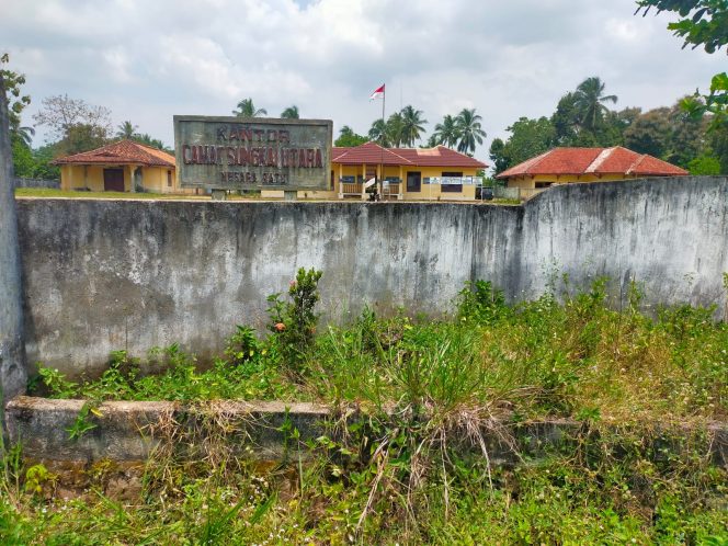 
 caption : Rumput yang tumbuh subur dihalaman kantor Kecamatan Sungkai Utara
