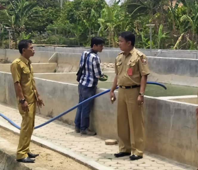
 caption : Kepala Dinas Perikanan Kabupaten Lampung Utara, Sanny lumi, S.STP, MSi, saat meninjau  Balai Benih Ikan (BBI) yang ada dilingkungan kerjanya beberapa waktu lalu. 
