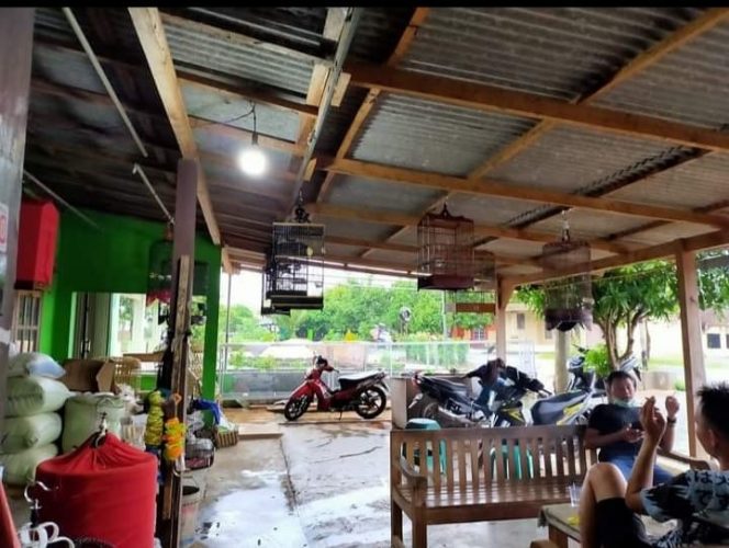 
 caption : Salah satu kios penjual pakan ikan di Lampung Utara
