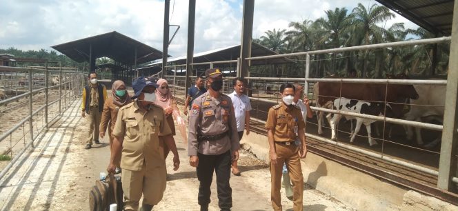 
 caption : Kabid Peternakan Yudhi Bachtiar saat meninjau hewan ternak yang ada di Kecamatan-kecamatan. Foto IST
