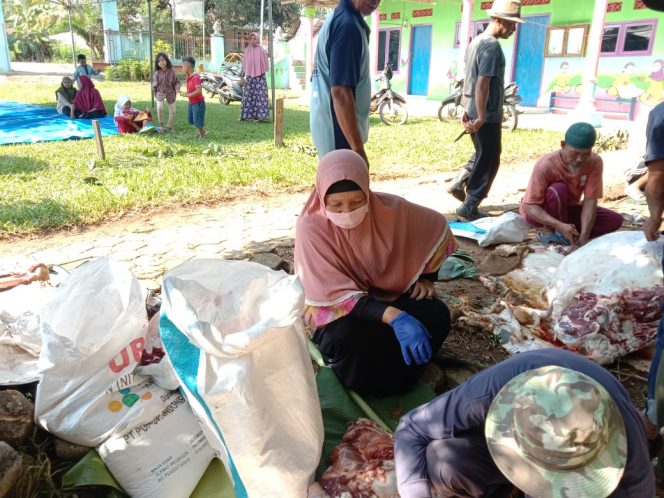 
 Foto RIA  Tampak Petugas dari Distan dan dokter hewan saat melakukan pengecekan hati hewan Ruminansia yang dikurbankan apakah mengandung cacing Pita.
Attachments area
