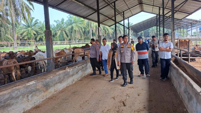 
 Kapolres Pantau Peternakan Hewan Sapi Jelang Idul Adha 1444 H