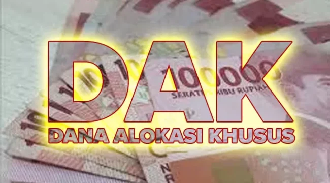 Ilustrasi DAK 2023
