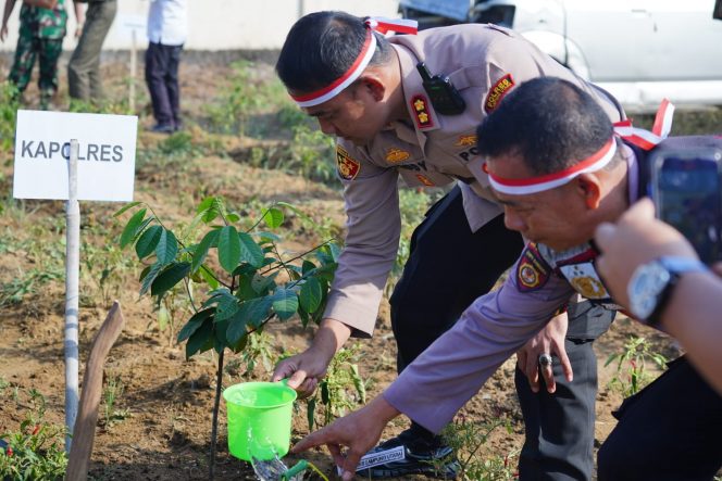 
 Kapolres AKBP Teddy Rachesna saat menanam pohon dalam rangka gerakan nasional penghijauan sejak dini, Rabu (23/8). Foto IST ------