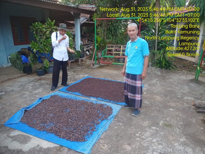 
 Sampel Kopi Dari Lampura Dibawa ke Jember