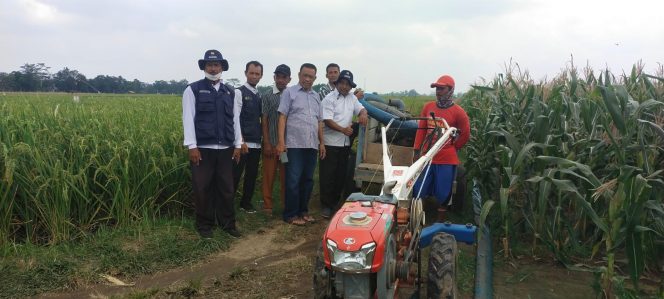 
 Petani Manfaatkan Handtraktor, Aliri Air ke Sawah