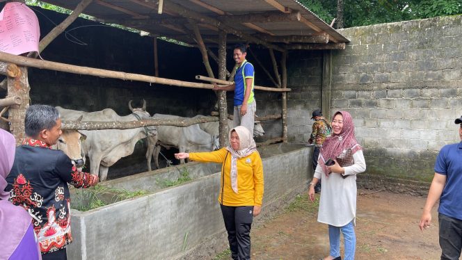 
 Cek Kesehatan Ternak, Disbunak Periksa Kebersihan Kandang