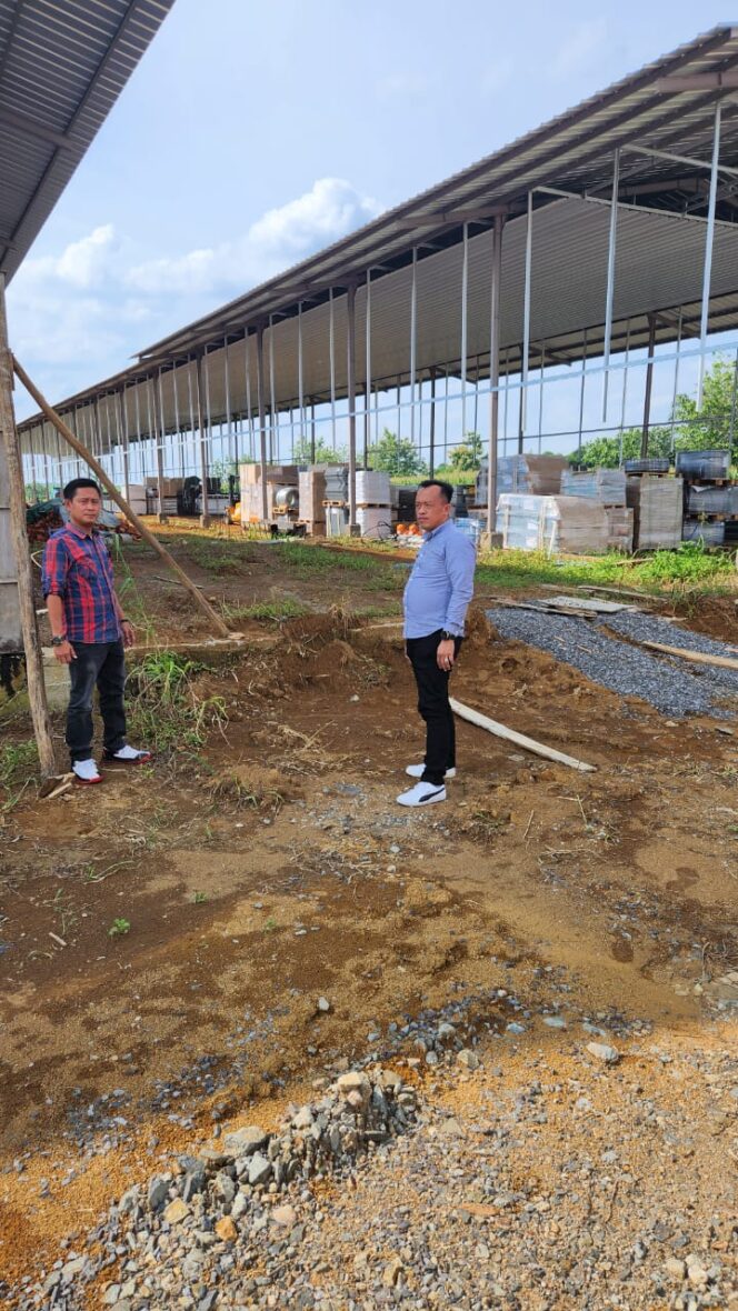 
 Sidak Kandang Ayam, Ini Kata Hendri