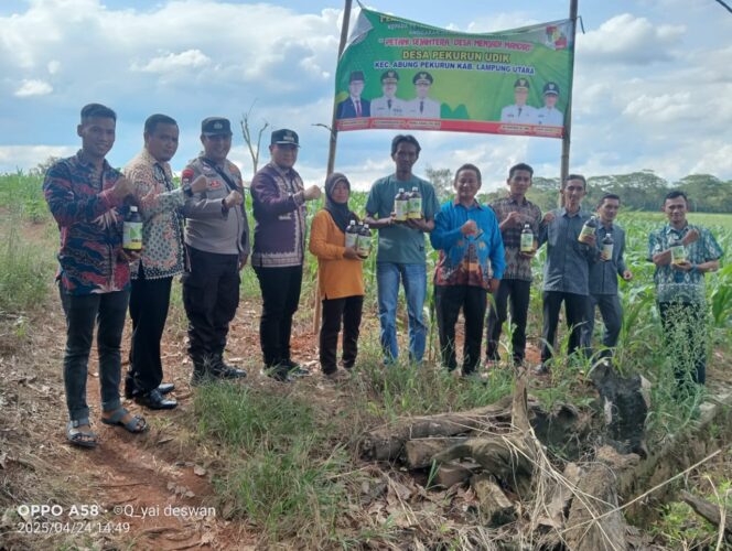 
 Sebelum MDST, Pekerjaan Desa Pekurun Udik Dimonev