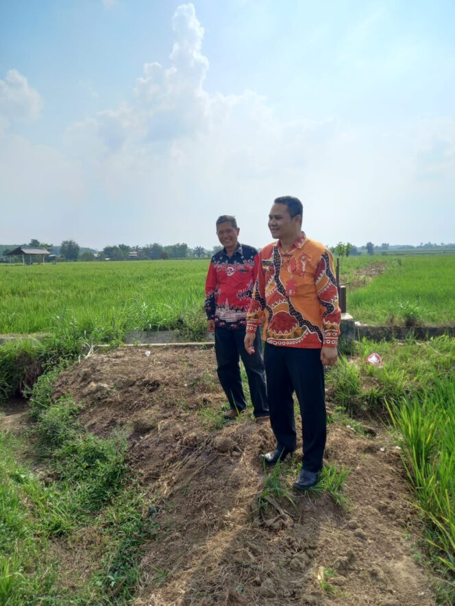 
 Pergub dan Perda Lindungi Gabah Petani